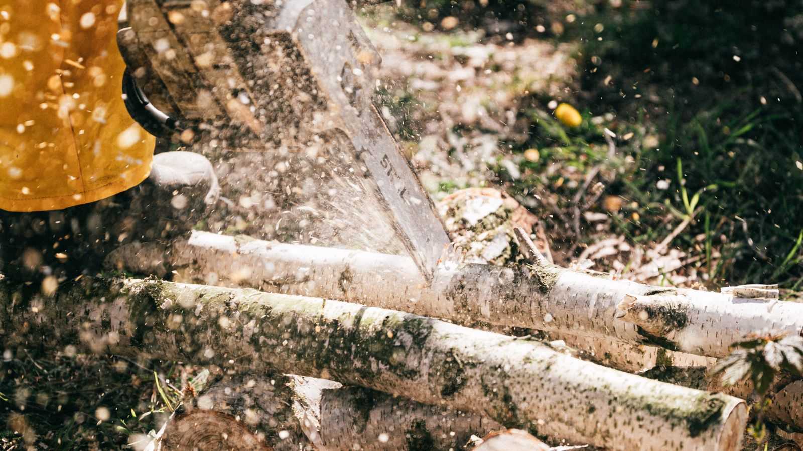 Tree felling team member cutting logs on a residential property in Randburg